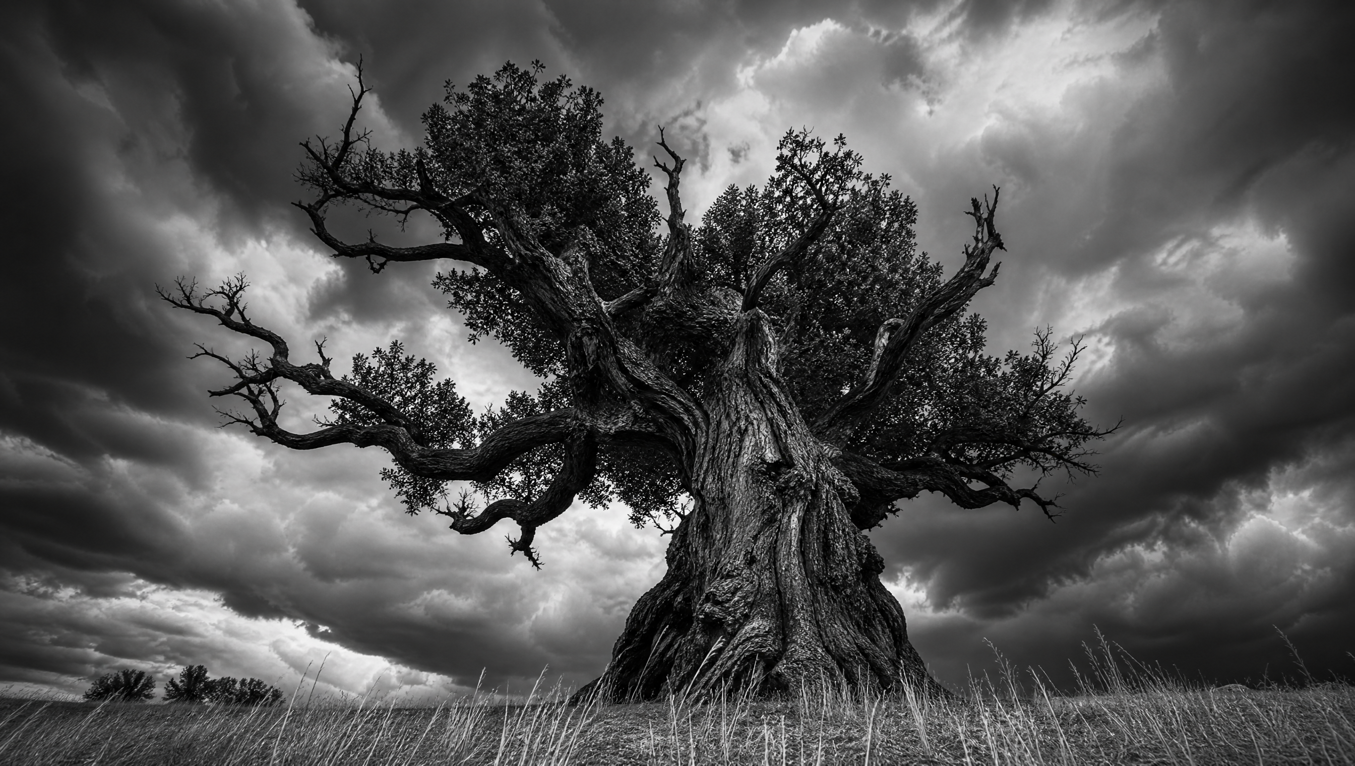 Alter Baum